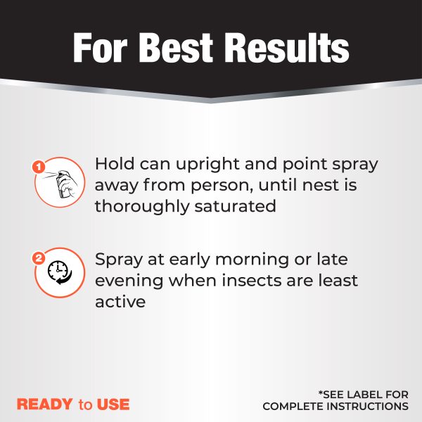 Revenge Wasp & Hornet Aerosol – Bonide – 15 oz
